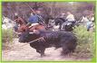 Tordesillas (I)